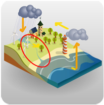 Illustration of the water cycle with the area circled that shows water being filtered through the ground.